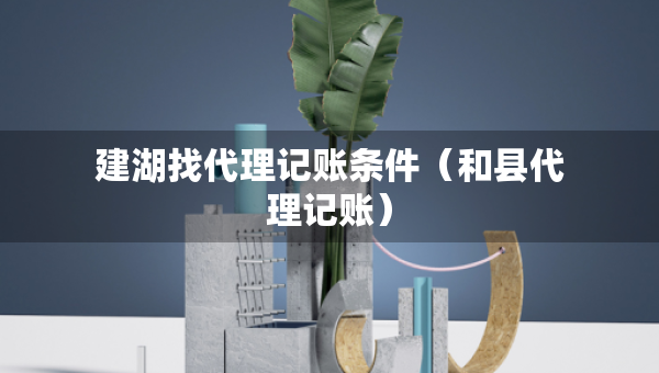建湖找代理記賬條件（和縣代理記賬）