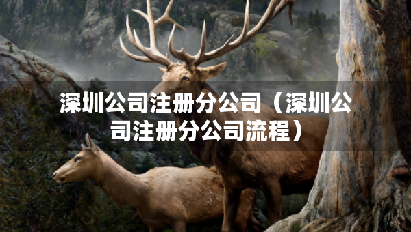 深圳公司注冊分公司（深圳公司注冊分公司流程）