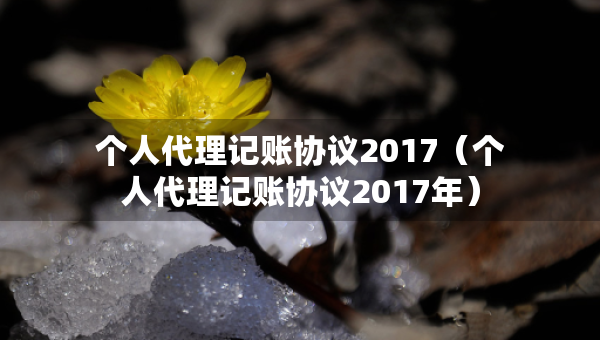 個(gè)人代理記賬協(xié)議2017（個(gè)人代理記賬協(xié)議2017年）