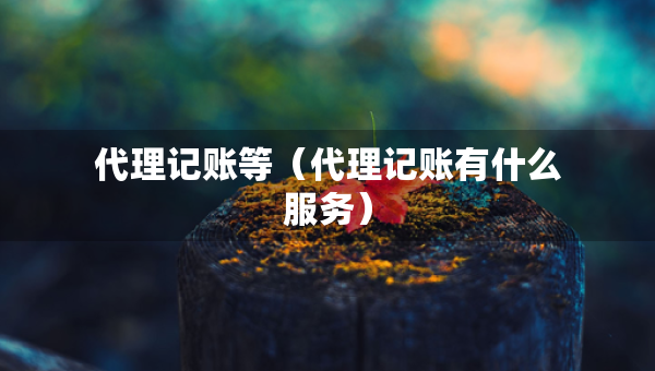 代理記賬等（代理記賬有什么服務(wù)）