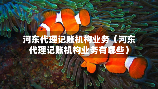 河?xùn)|代理記賬機(jī)構(gòu)業(yè)務(wù)（河?xùn)|代理記賬機(jī)構(gòu)業(yè)務(wù)有哪些）