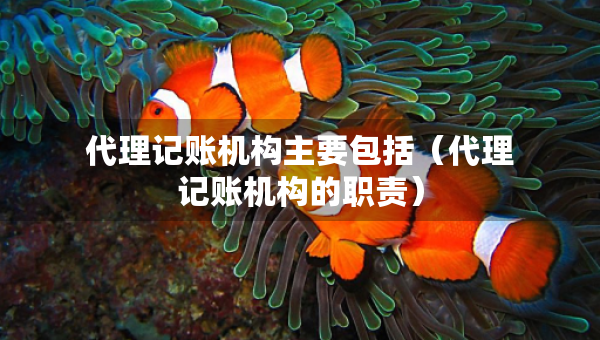 代理記賬機(jī)構(gòu)主要包括（代理記賬機(jī)構(gòu)的職責(zé)）