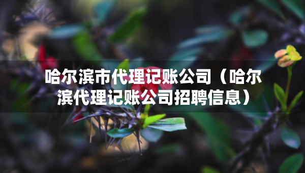 哈爾濱市代理記賬公司（哈爾濱代理記賬公司招聘信息）