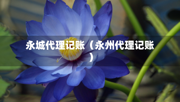 永城代理記賬（永州代理記賬）