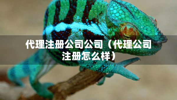 代理注冊公司公司（代理公司注冊怎么樣）
