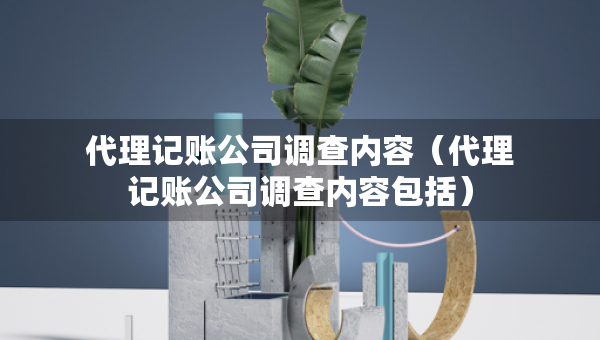 代理記賬公司調(diào)查內(nèi)容（代理記賬公司調(diào)查內(nèi)容包括）