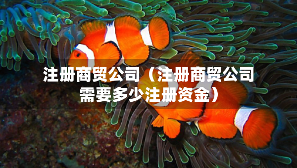 注冊商貿(mào)公司（注冊商貿(mào)公司需要多少注冊資金）