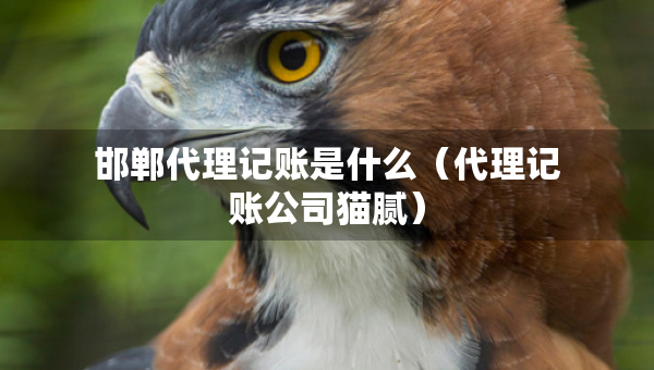 邯鄲代理記賬是什么（代理記賬公司貓膩）