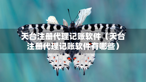 天臺注冊代理記賬軟件（天臺注冊代理記賬軟件有哪些）