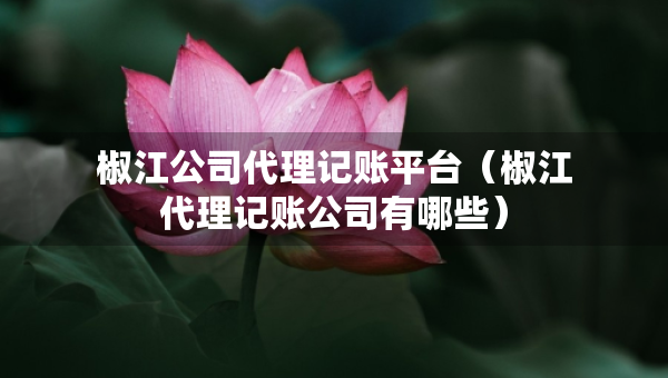 椒江公司代理記賬平臺（椒江代理記賬公司有哪些）