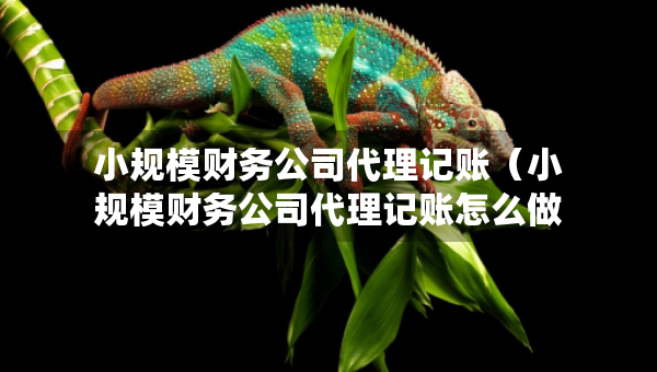 小規(guī)模財(cái)務(wù)公司代理記賬（小規(guī)模財(cái)務(wù)公司代理記賬怎么做）