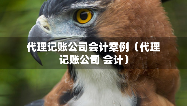 代理記賬公司會(huì)計(jì)案例（代理記賬公司 會(huì)計(jì)）