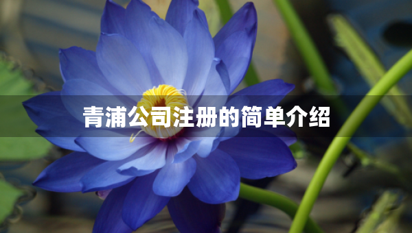 青浦公司注冊(cè)的簡(jiǎn)單介紹