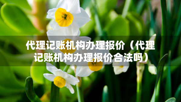 代理記賬機構辦理報價（代理記賬機構辦理報價合法嗎）