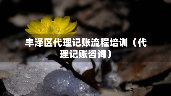豐澤區(qū)代理記賬流程培訓(xùn)（代理記賬咨詢）