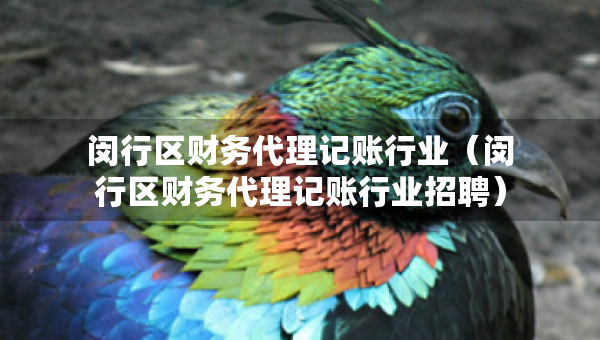 閔行區(qū)財(cái)務(wù)代理記賬行業(yè)（閔行區(qū)財(cái)務(wù)代理記賬行業(yè)招聘）