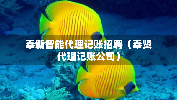 奉新智能代理記賬招聘（奉賢代理記賬公司）
