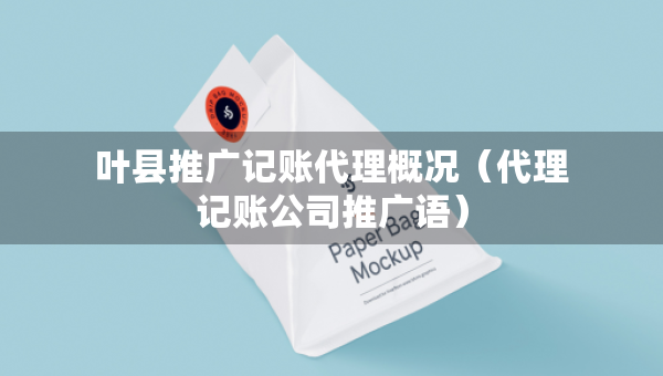 葉縣推廣記賬代理概況（代理記賬公司推廣語）