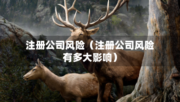 注冊(cè)公司風(fēng)險(xiǎn)（注冊(cè)公司風(fēng)險(xiǎn)有多大影響）