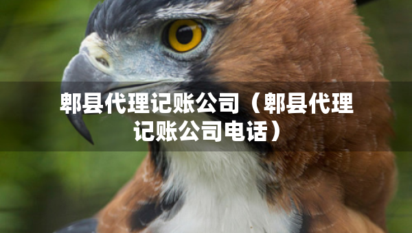 郫縣代理記賬公司（郫縣代理記賬公司電話）