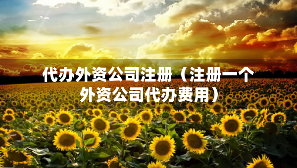 代辦外資公司注冊(cè)（注冊(cè)一個(gè)外資公司代辦費(fèi)用）