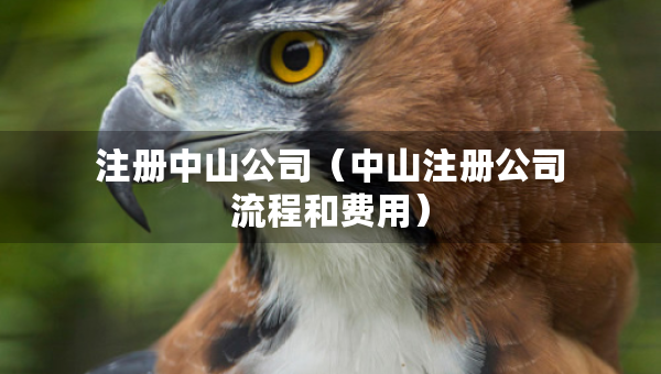 注冊中山公司（中山注冊公司流程和費(fèi)用）