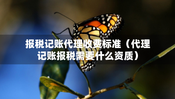 報稅記賬代理收費標準（代理記賬報稅需要什么資質(zhì)）