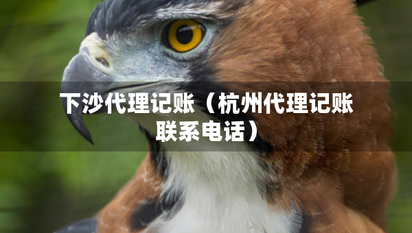 下沙代理記賬（杭州代理記賬聯(lián)系電話）