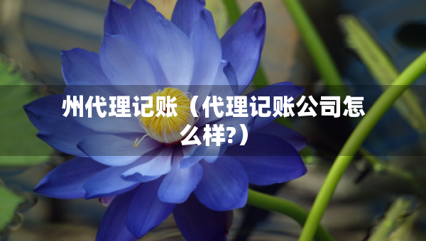 州代理記賬（代理記賬公司怎么樣?）