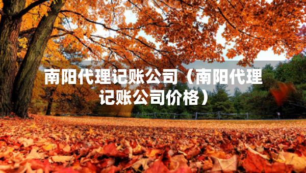 南陽代理記賬公司（南陽代理記賬公司價(jià)格）