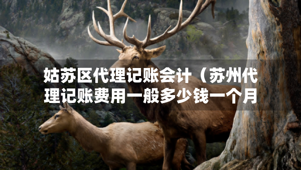姑蘇區(qū)代理記賬會計（蘇州代理記賬費用一般多少錢一個月）