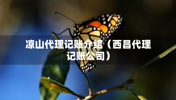 涼山代理記賬介紹（西昌代理記賬公司）