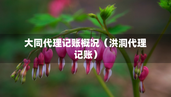 大同代理記賬概況（洪洞代理記賬）