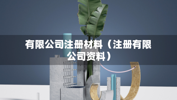 有限公司注冊材料（注冊有限公司資料）