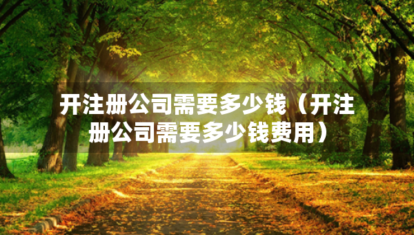 開(kāi)注冊(cè)公司需要多少錢（開(kāi)注冊(cè)公司需要多少錢費(fèi)用）