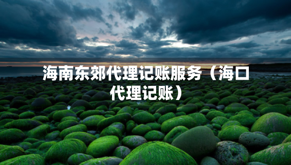 海南東郊代理記賬服務(wù)（?？诖碛涃~）