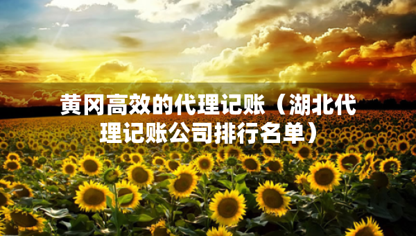 黃岡高效的代理記賬（湖北代理記賬公司排行名單）