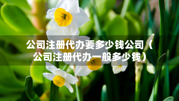 公司注冊代辦要多少錢公司（公司注冊代辦一般多少錢）