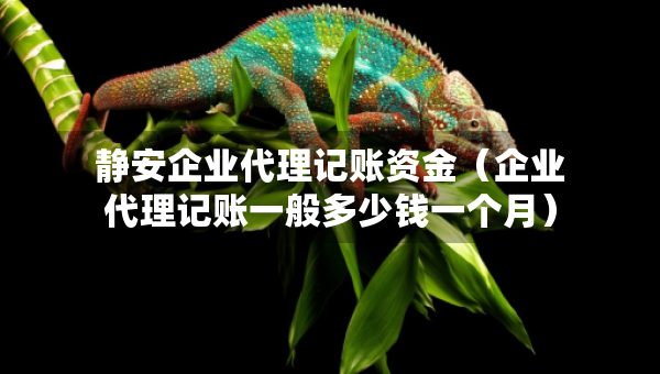 靜安企業(yè)代理記賬資金（企業(yè)代理記賬一般多少錢一個月）