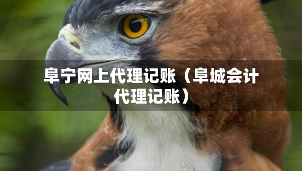 阜寧網(wǎng)上代理記賬（阜城會計代理記賬）