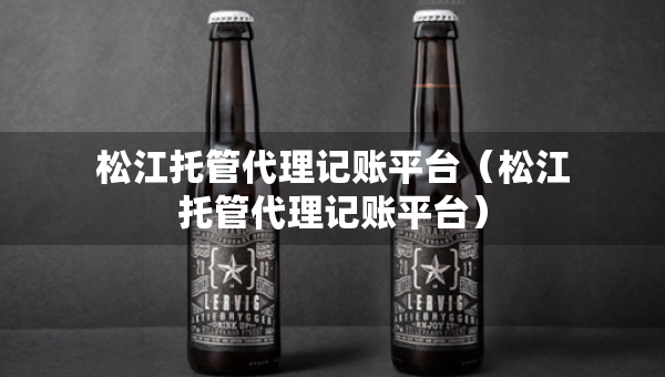 松江托管代理記賬平臺(tái)（松江托管代理記賬平臺(tái)）