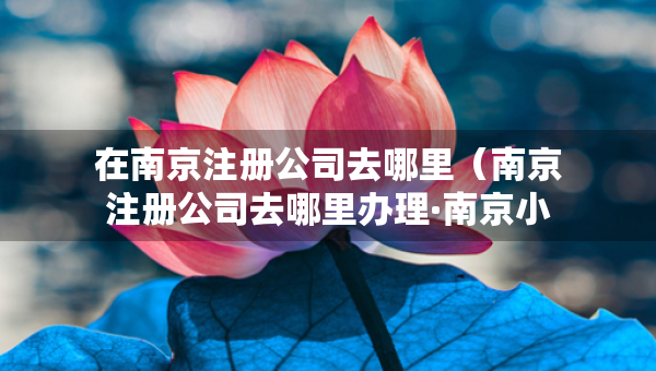 在南京注冊公司去哪里（南京注冊公司去哪里辦理·南京小助手企業(yè)管理）