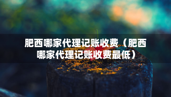 肥西哪家代理記賬收費（肥西哪家代理記賬收費最低）