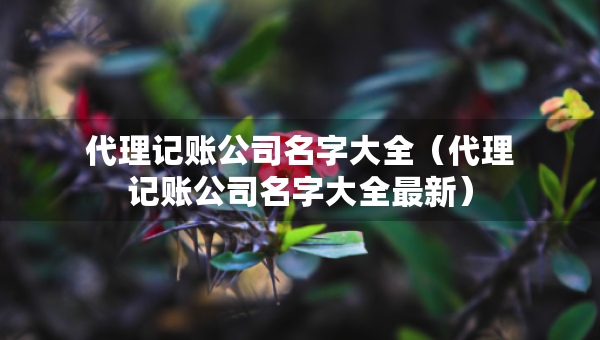 代理記賬公司名字大全（代理記賬公司名字大全最新）