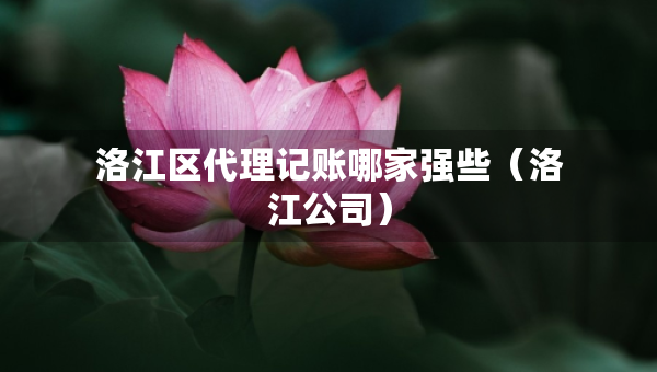 洛江區(qū)代理記賬哪家強(qiáng)些（洛江公司）