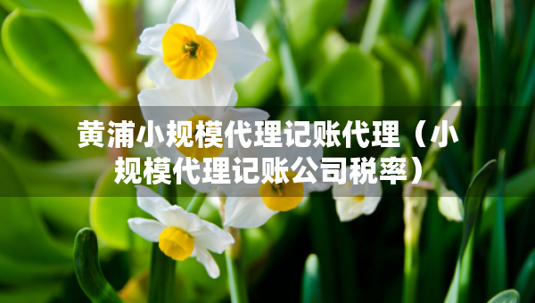 黃浦小規(guī)模代理記賬代理（小規(guī)模代理記賬公司稅率）