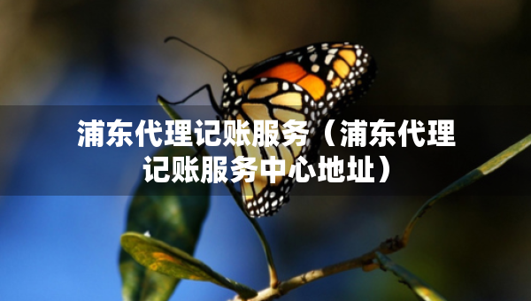 浦東代理記賬服務（浦東代理記賬服務中心地址）