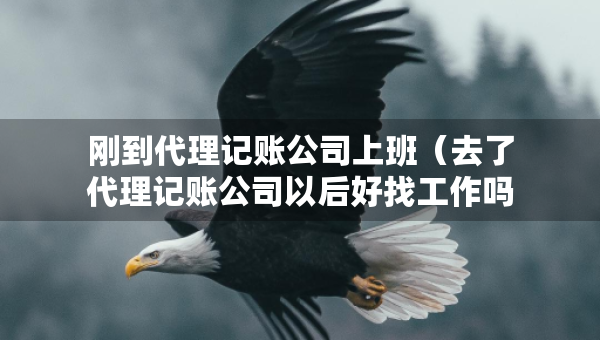 剛到代理記賬公司上班（去了代理記賬公司以后好找工作嗎）
