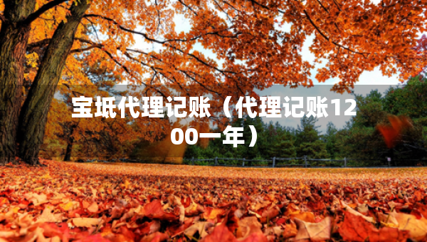 寶坻代理記賬（代理記賬1200一年）
