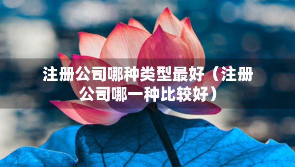 注冊公司哪種類型最好（注冊公司哪一種比較好）